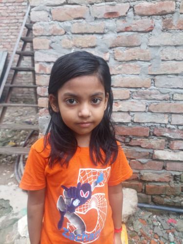 Shibani Mollik Kotha
